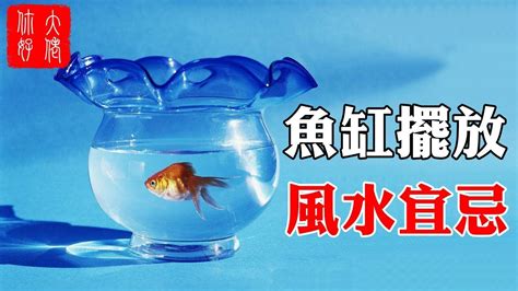 財位可以養魚嗎|養魚=聚財！專家曝「魚缸忌放2地方」：大小毛病恐不。